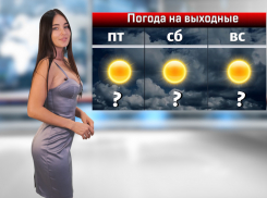 На выходных в Ростовской области ожидается жара и сильный ветер