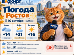 До +21 градуса прогреется воздух в Ростове 10 октября