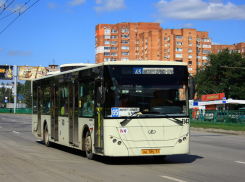 За движением ростовских автобусов можно следить в интернете