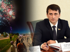Депутат Заксобрания Ростовской области предложил губернатору запретить фейерверки на время СВО