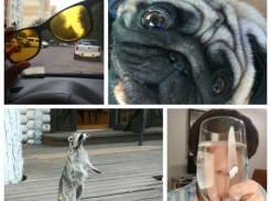 Как ростовчане проводят вечер пятницы: алкоголь, рыба и собачки