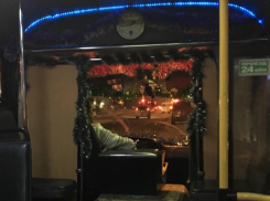 «Сказочная», вычищенная до блеска маршрутка с «классным» водителем восхитила жителей Ростова