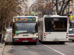 Переход на новую систему оплаты пассажирских перевозок в Ростове обойдется в 10 млрд рублей