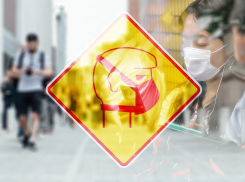 Запрет ради запрета: самые странные ограничения в Ростовской области во время режима самоизоляции