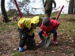 Весенний День древонасаждения в Ростовской области перенесли из-за Пасхи