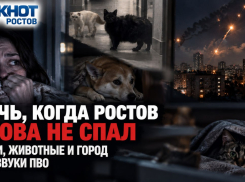 Ночь, когда Ростов снова не спал: люди, животные и город под звуки ПВО