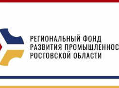 В донскую экономику привлекли 1,2 млрд рублей благодаря десяти совместным займам фондов развития промышленности