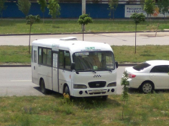 Маршрутку-деревовредителя поймали с поличным в Ростове