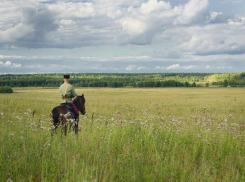 Чиновница в Ростовской области незаконно отдала землю казакам