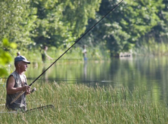 В Ростовской области назвали места, где нельзя ловить рыбу