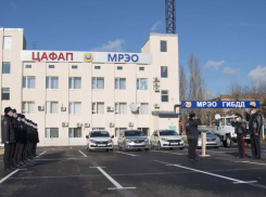 Жителям Ростова рассказали, как будет работать МРЭО на новогодние праздники