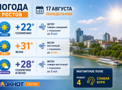 Солнечно и жарко до +32 будет в Ростове 17 августа