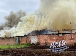 В поселке Овощной под Батайском произошел пожар на складе