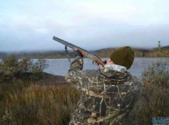 В Ростовской области введены ограничения на охоту  