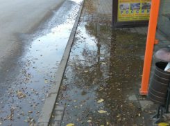 Остановка на болоте  вызвала осеннюю депрессию у пассажиров в Ростове