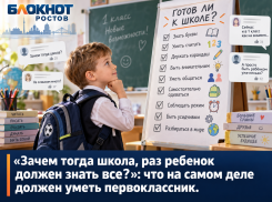 «Зачем тогда школа, раз ребенок должен знать все?»: что на самом деле должен уметь первоклассник  