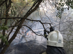 В восьми районах Ростовской области введен режим ЧС
