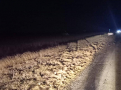 В Ростовской области водитель иномарки погиб на трассе после жесткого заноса