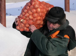 Овощного предпринимателя из Ростовской области обманули на 30 тонн лука