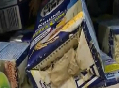 Жирных белых червей на пачке детского питания нашла покупательница «Магнита» в Ростове на видео