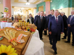 Ростовская область в 2023 году собрала рекордный урожай зерновых в 16 млн тонн