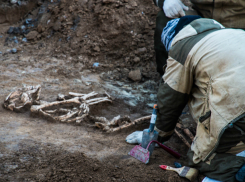 Удивительно древний и пугающий скелет человека откопали археологи в Ростове