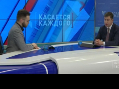 Сити-менеджер Ростова объяснил, почему в городе вырубают деревья