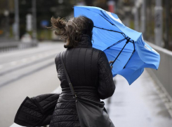 В Ростове-на-Дону ожидается усиление ветра 15 и 16 августа