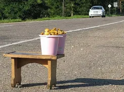 В Ростовской области предложили узаконить придорожную торговлю в 2023 году