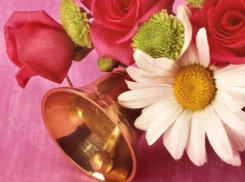 День знаний ростовские школьники отпразднуют в городских парках