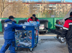 В Ростове вывоз отходов с 1 ноября будет производить компания «ЭкоЦентр»