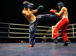 В Ростове стартует турнир по кик-боксингу