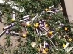 Опасные пробирки с «кровавыми» анализами нашла ростовчанка возле детского сада