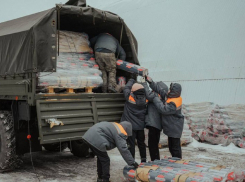 Донские «единороссы» вместе с активистами Народного фронта отправили на передовую более 110 тонн полиэтиленовой пленки