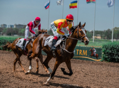 На ростовском ипподроме открылся 119-й скаковой сезон