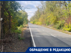 Дончанка пожаловалась на опасную дорогу возле остановки школьного автобуса
