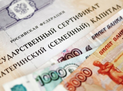 В Ростовской области выплатили по 20 тысяч на семью для повседневных нужд