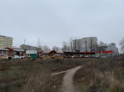 В Ростове под жилую застройку отдадут участок в 11 га в Александровке
