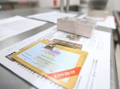 В Ростове могут продлить срок действия пропусков для похода на работу