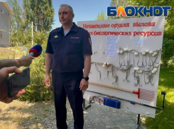 В Ростовской области нашли 30 тонн опасной рыбы на почти 10 млн рублей 