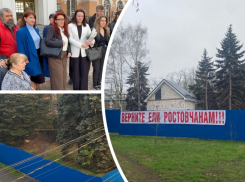 Ростовский облсуд вынес решение по делу о вырубке деревьев на улице Зеленой