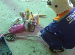 В Ростовской области змея заползла в дом и напугала хозяев