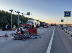 В аварии с грузовиком в Ростовской области погибла женщина, пять человек пострадали 