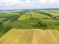 ФАС разрешила «Группе Агроком» Саввиди приобрести два агрокомплекса в Ростовской области