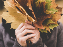 Облачный четверг: прогноз погоды в Ростове на 26 сентября