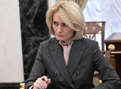 Резонансная история с вырубкой 30 сосен в Новочеркасске вышла на Федеральный уровень