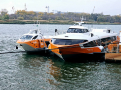 «Валдаи» перевезли почти 32 тысячи пассажиров в Ростовской области в 2025 году