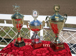 Впервые губернаторскую скачку на ростовском ипподроме выиграла кобыла