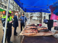 На Дону в 2026 году продолжат борьбу с незаконной торговлей