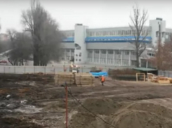 Огромную зону в ростовском парке Островского варварски оставили без деревьев